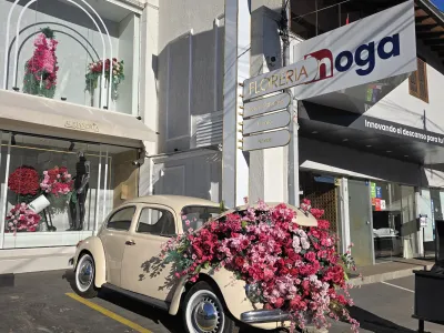 Alejandría Flower Shop