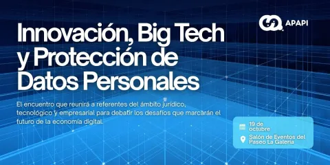 Seminario Internacional APAPI