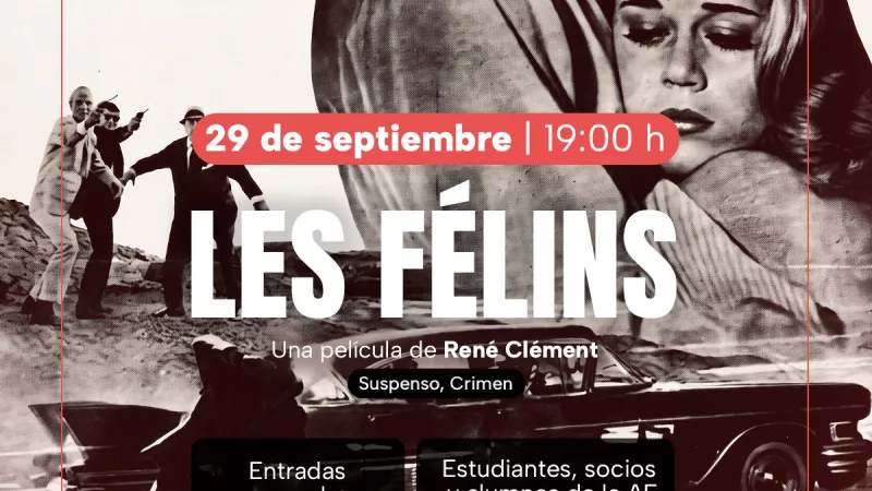 AF Cine – Les Félins