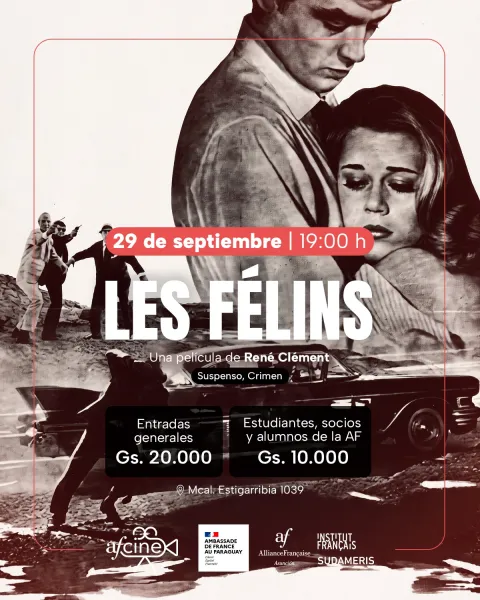 AF Cine – Les Félins