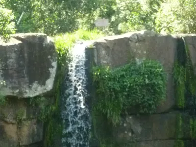Parque Nacional Ybycuí