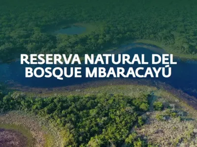 Reserva Natural del Bosque Mbaracayú