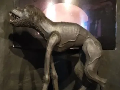 Museo Mitológico Ramón Elías