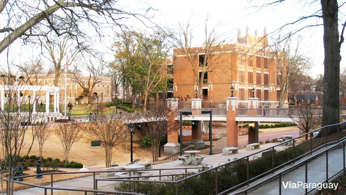 Universidad Nacional de Asunción (UNA)