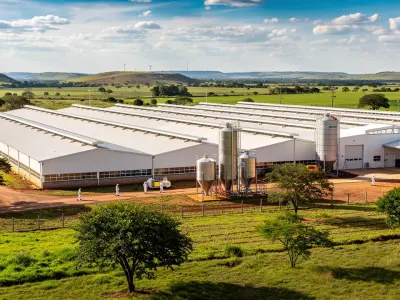 Industria avícola de Paraguay: inversión, expansión y nuevos mercados internacionales