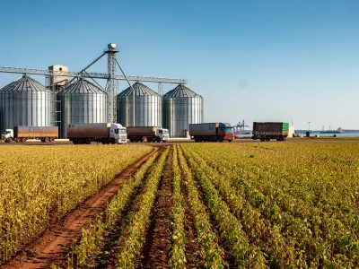 Paraguay bate récord histórico: el complejo soja superó los US$ 3.000 millones en exportaciones