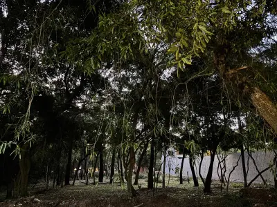 Lot a few blocks from downtown San Bernardino 1