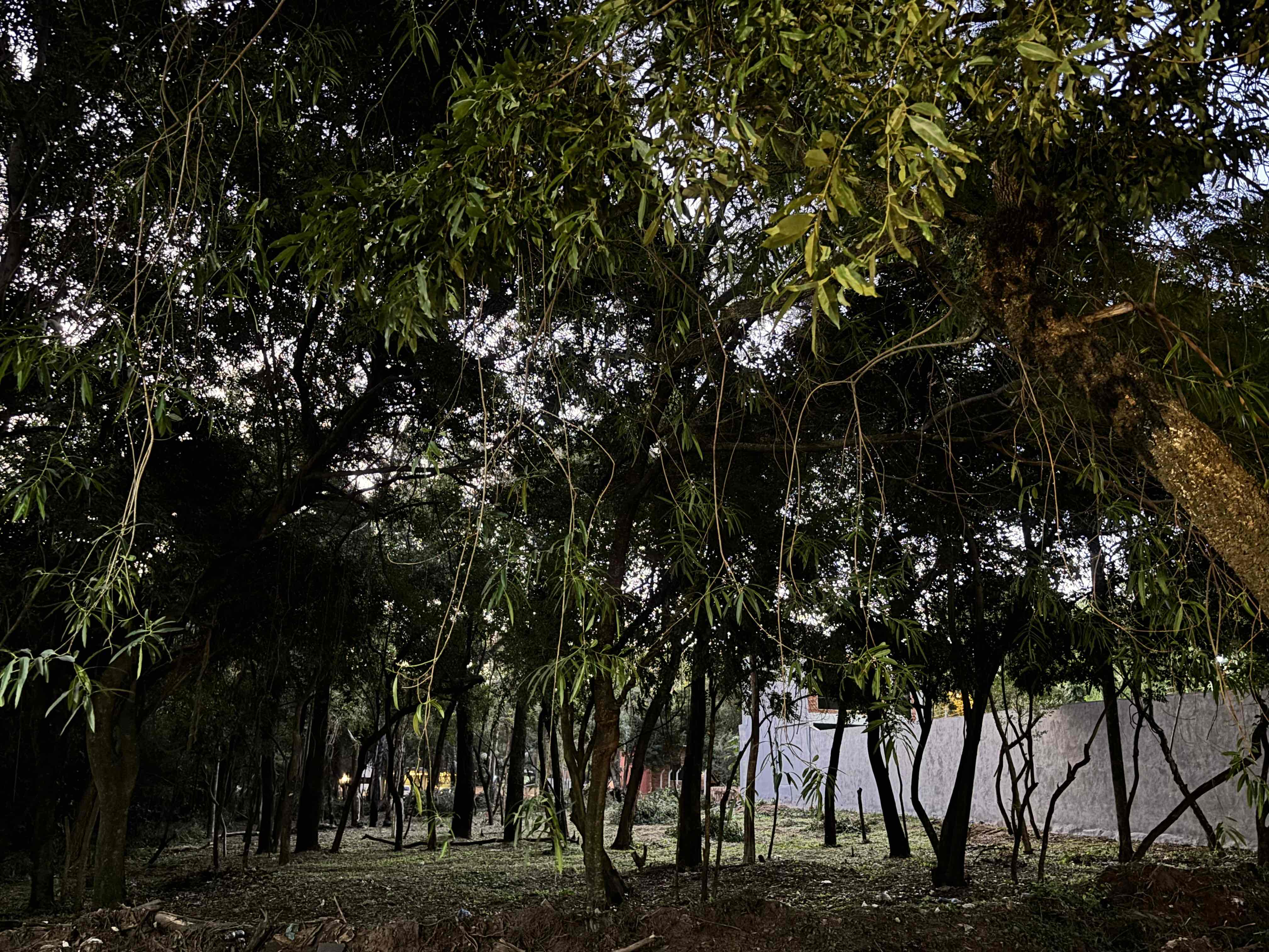 Terreno a cuadras del centro de San Bernardino