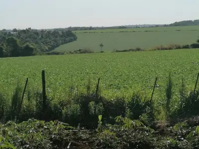 Propiedad rural de 150 ha en venta en Minga Guazú, Alto Paraná