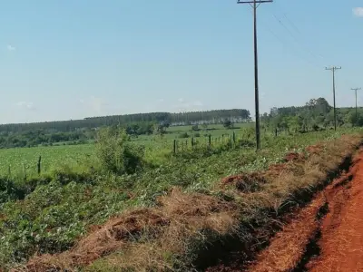 Propiedad rural de 150 ha en venta en Minga Guazú, Alto Paraná 3
