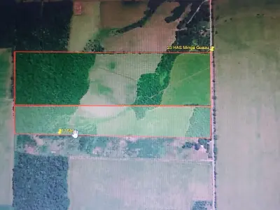 Propiedad rural de 36 ha en venta en Minga Guazú, Alto Paraná