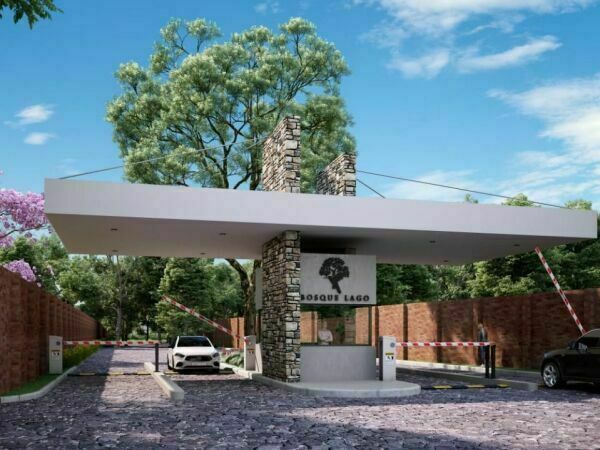 Bosque Lago