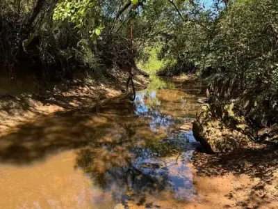 Senderos de Loma – Lotes Arborizados à Beira de Arroio em Loma Grande