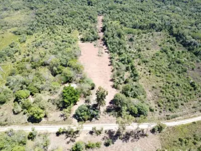 Senderos de Loma – Lotes Arborizados à Beira de Arroio em Loma Grande 2