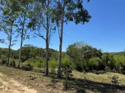 Senderos de Loma – Lotes Arborizados à Beira de Arroio em Loma Grande 4