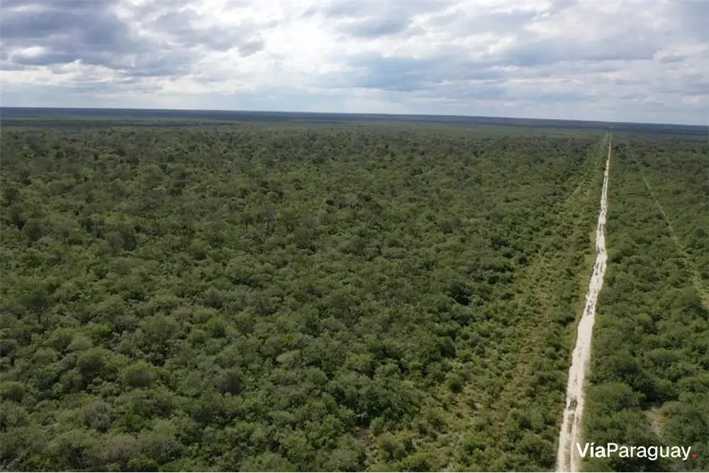 3.974 hectáreas de monte en venta en Alto Paraguay