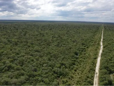 3.974 hectáreas de monte en venta en Alto Paraguay