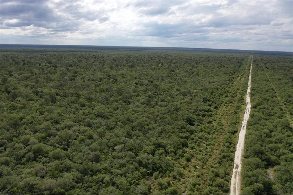 3,974 hectares of land for sale in Alto Paraguay