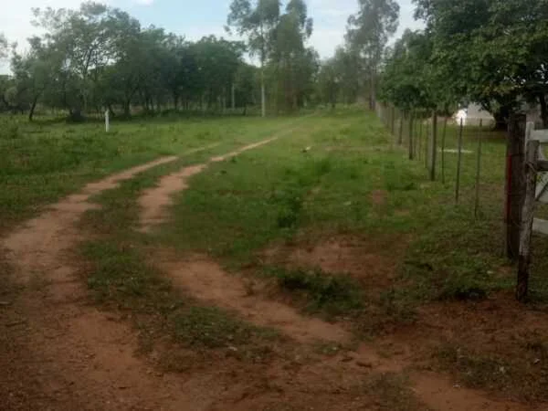 6 Lots for Sale in Loma Grande, Cordillera – 3,510 m² Total