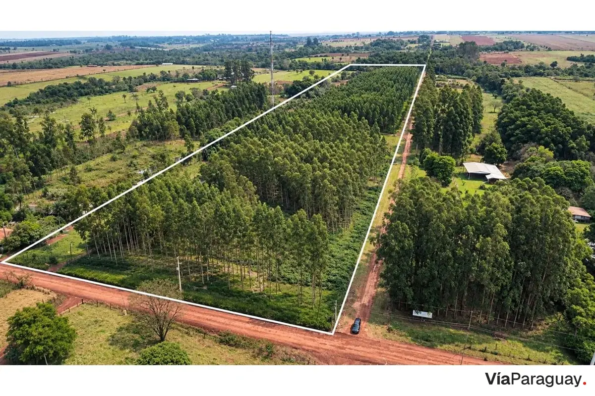 Campo agrícola de 8 hectares à venda em Hernandarias