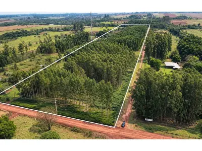 Campo agrícola de 8 hectares à venda em Hernandarias
