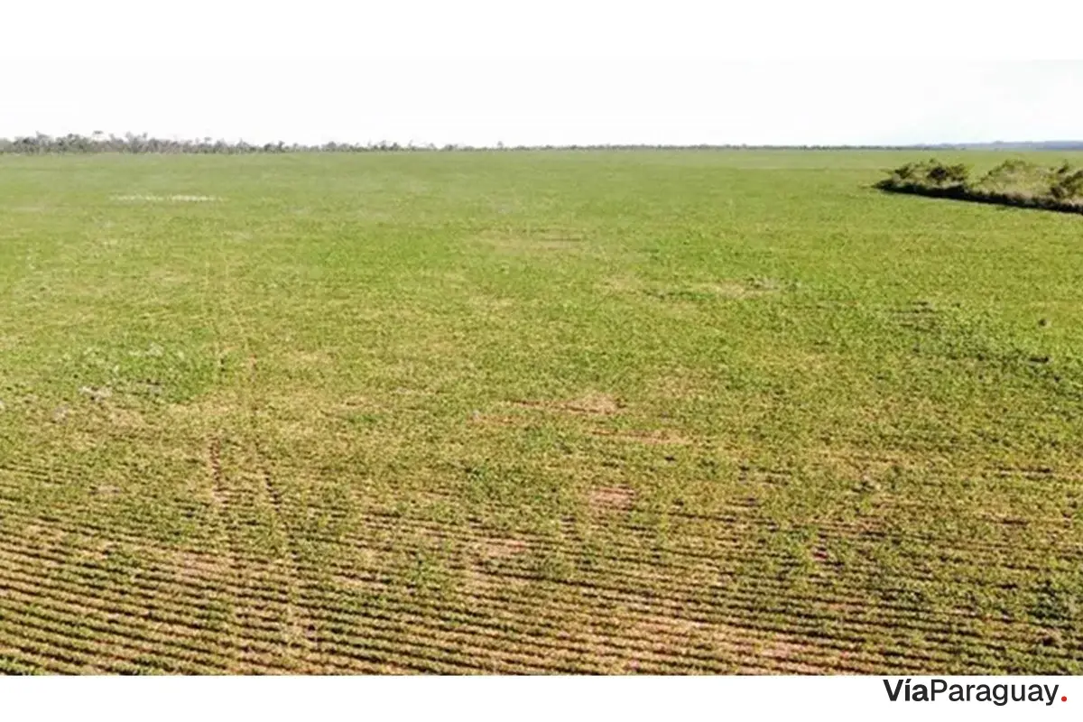 Terra agrícola à venda em Curuguaty, Canindeyú