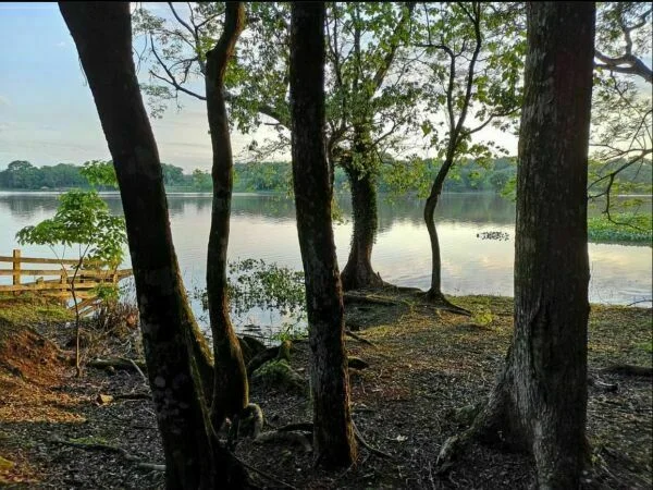 Campo de 10 hectáreas en venta en Hernandarias, Alto Paraná