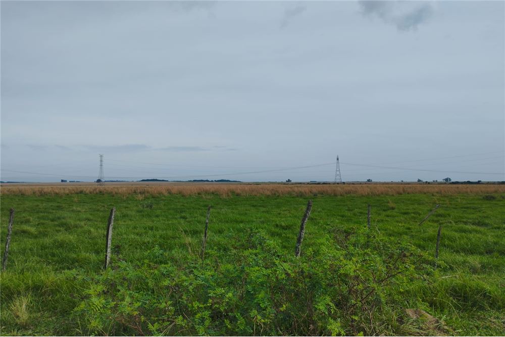 Campo de 102 hectáreas en venta en San Miguel, Misiones