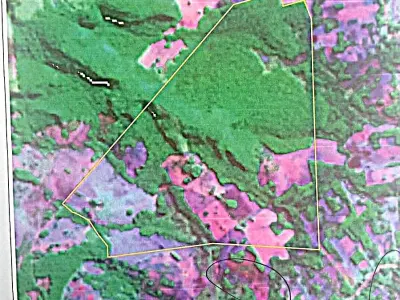 Campo de 1.028 hectáreas en venta en Carayaó 1