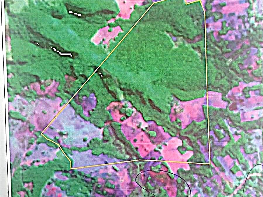 Campo de 1.028 hectares à venda em Carayaó