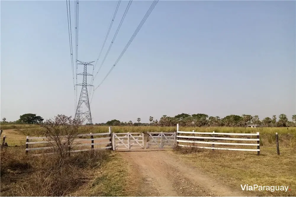 Campo de 111 hectáreas en venta en Villa Hayes