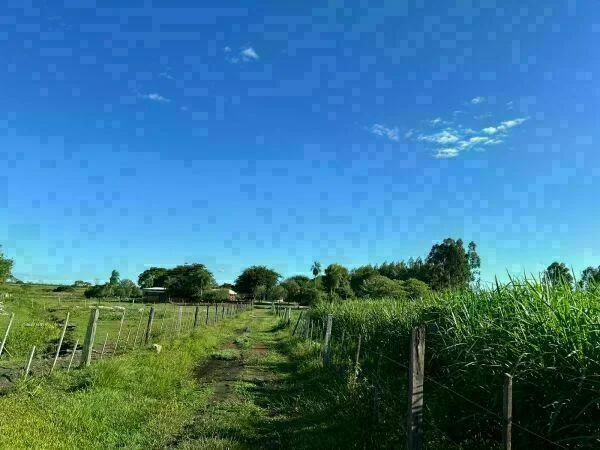 Campo de 12 hectáreas en venta en Juan León Mallorquín