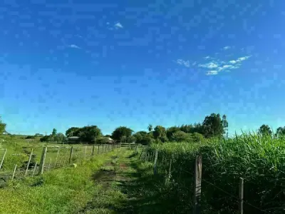 Campo de 12 hectáreas en venta en Juan León Mallorquín
