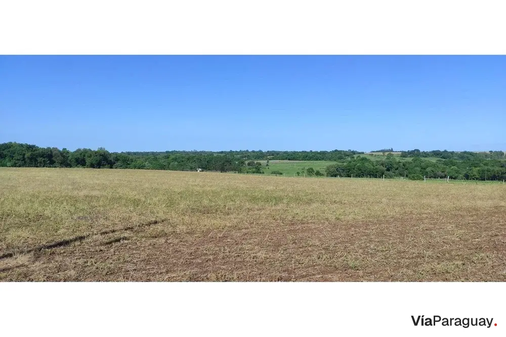 Campo de 17,8 hectáreas en venta en Capitán Miranda