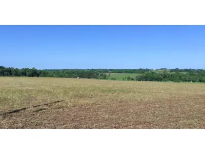 Campo de 17,8 hectáreas en venta en Capitán Miranda