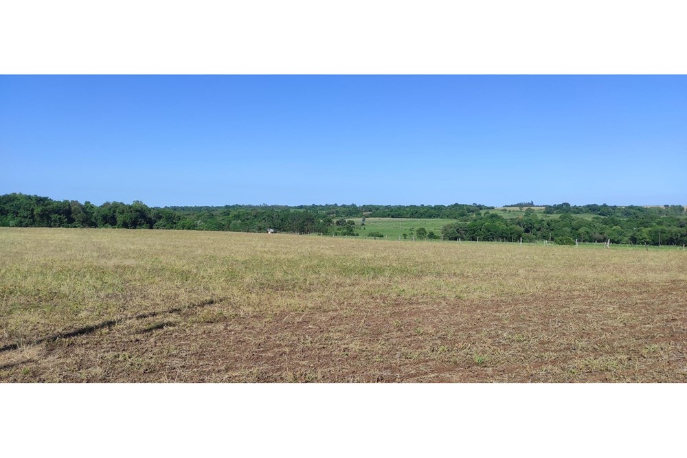 Campo de 17,8 hectáreas en venta en Capitán Miranda
