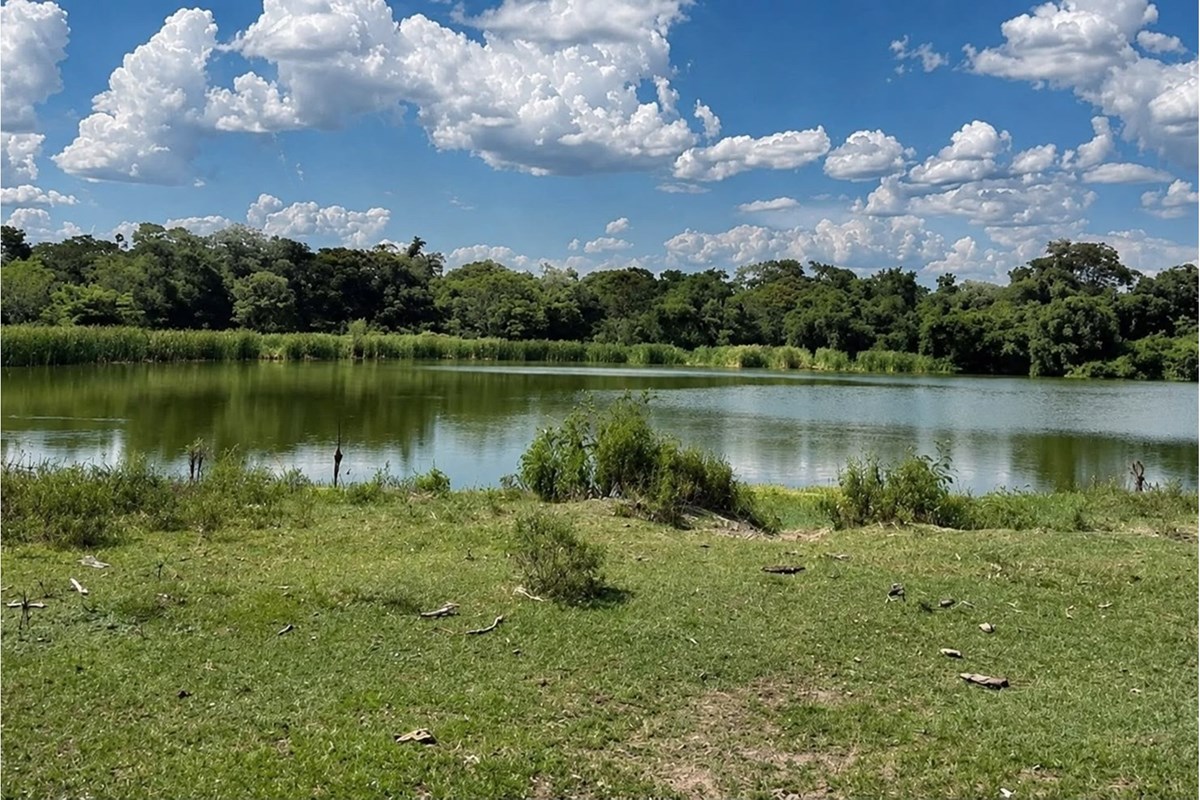 Fazenda de 200 ha à venda na Rota 3, San Pedro