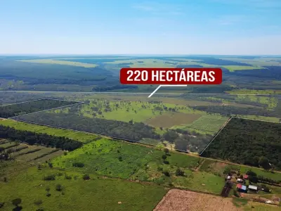 Campo de 220 hectáreas en venta en San Estanislao