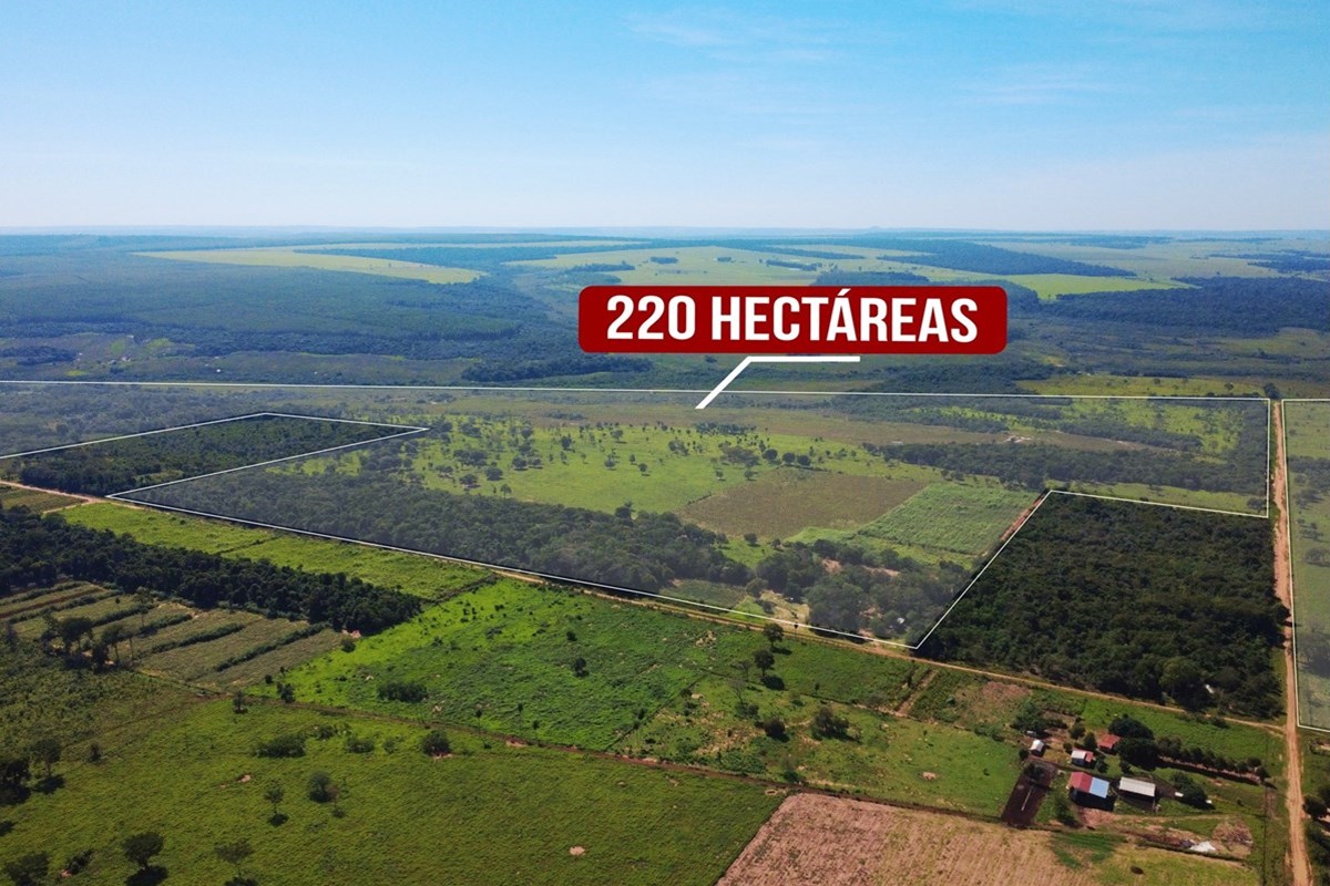 220-hectare farm for sale in San Estanislao