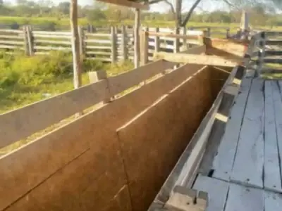 Campo para alugar no Chaco — 4.000 hectares