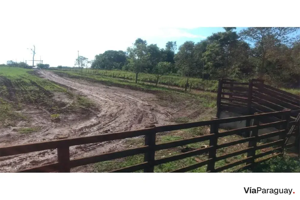 Campo en alquiler para cultivo y ganadería en Minga Guazú