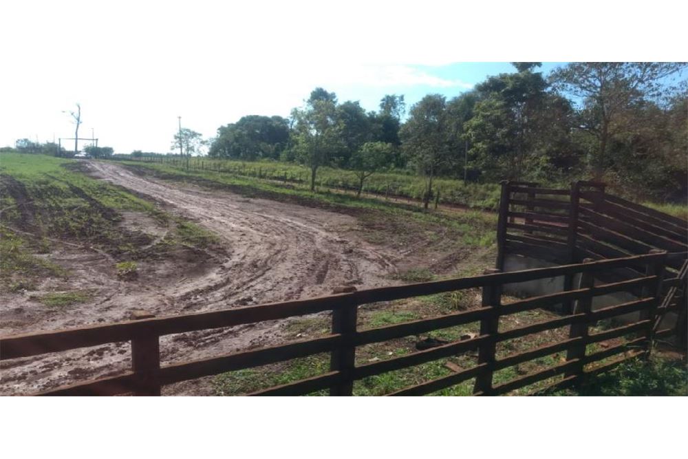 Campo en alquiler para cultivo y ganadería en Minga Guazú