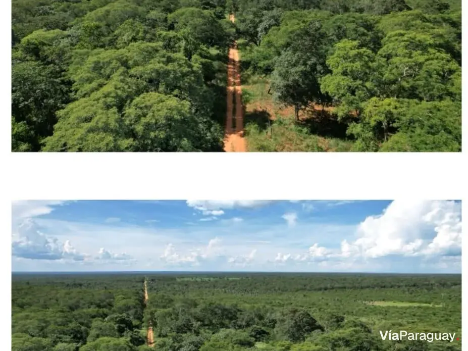 Campo en venta en Agua Dulce, Mayor Pablo Lagerenza