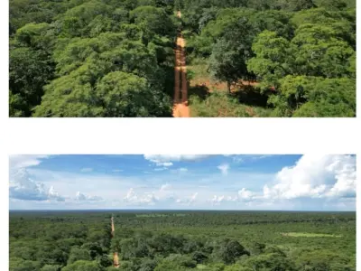 Campo en venta en Agua Dulce, Mayor Pablo Lagerenza