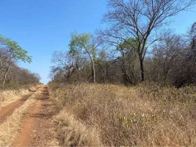 Campo en venta en Bahía Negra, Alto Paraguay