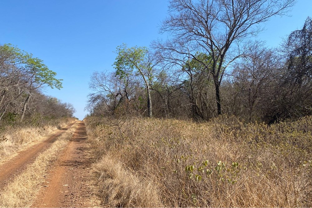 Land for sale in Bahía Negra, Alto Paraguay