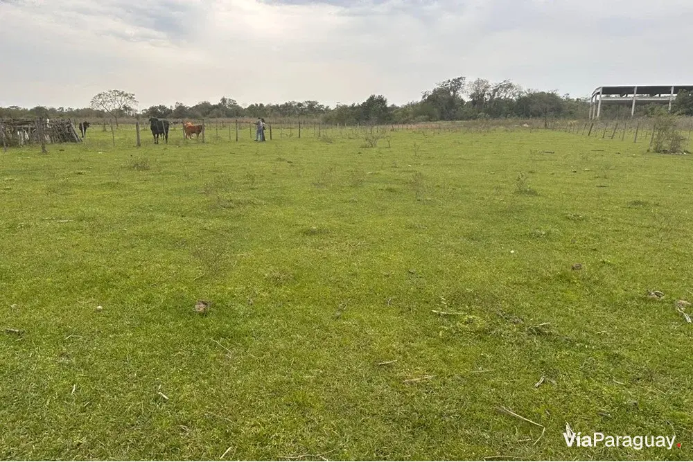 Campo en venta en Benjamín Aceval, Presidente Hayes