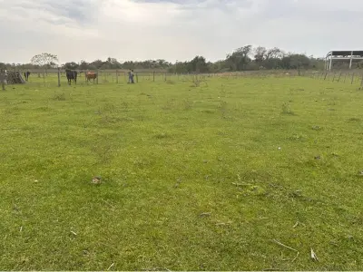 Campo en venta en Benjamín Aceval, Presidente Hayes