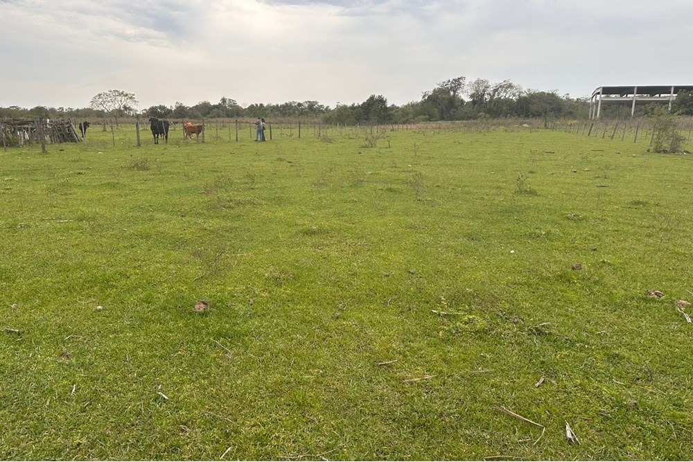 Campo en venta en Benjamín Aceval, Presidente Hayes