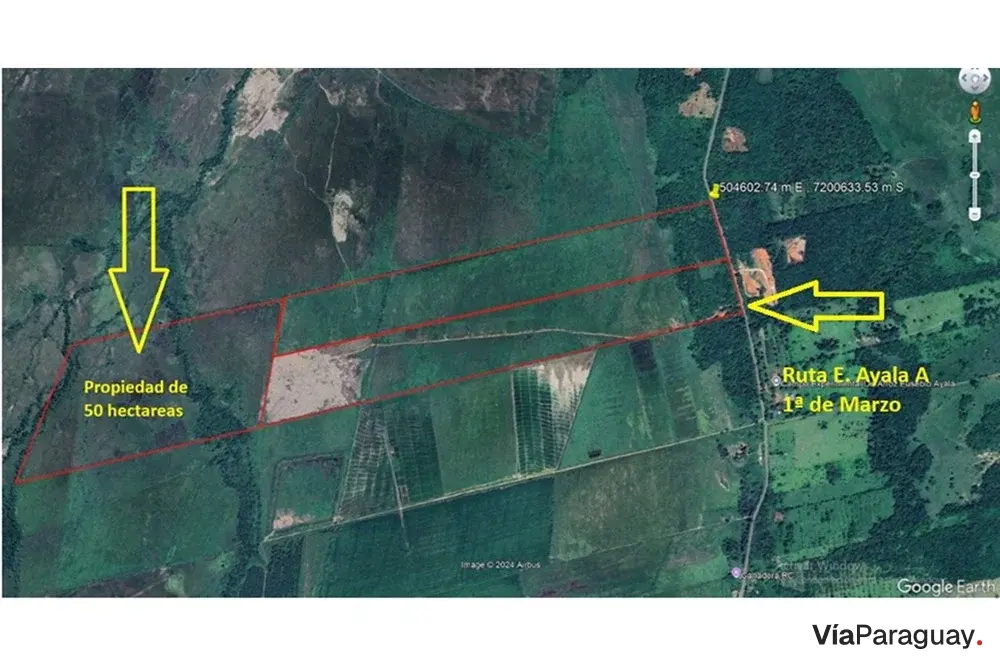 Campo en venta en Eusebio Ayala: 50 hectáreas sobre asfalto